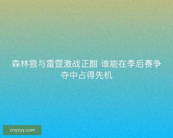 森林狼与雷霆激战正酣 谁能在季后赛争夺中占得先机