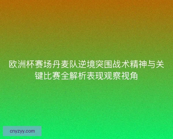 欧洲杯赛场丹麦队逆境突围战术精神与关键比赛全解析表现观察视角